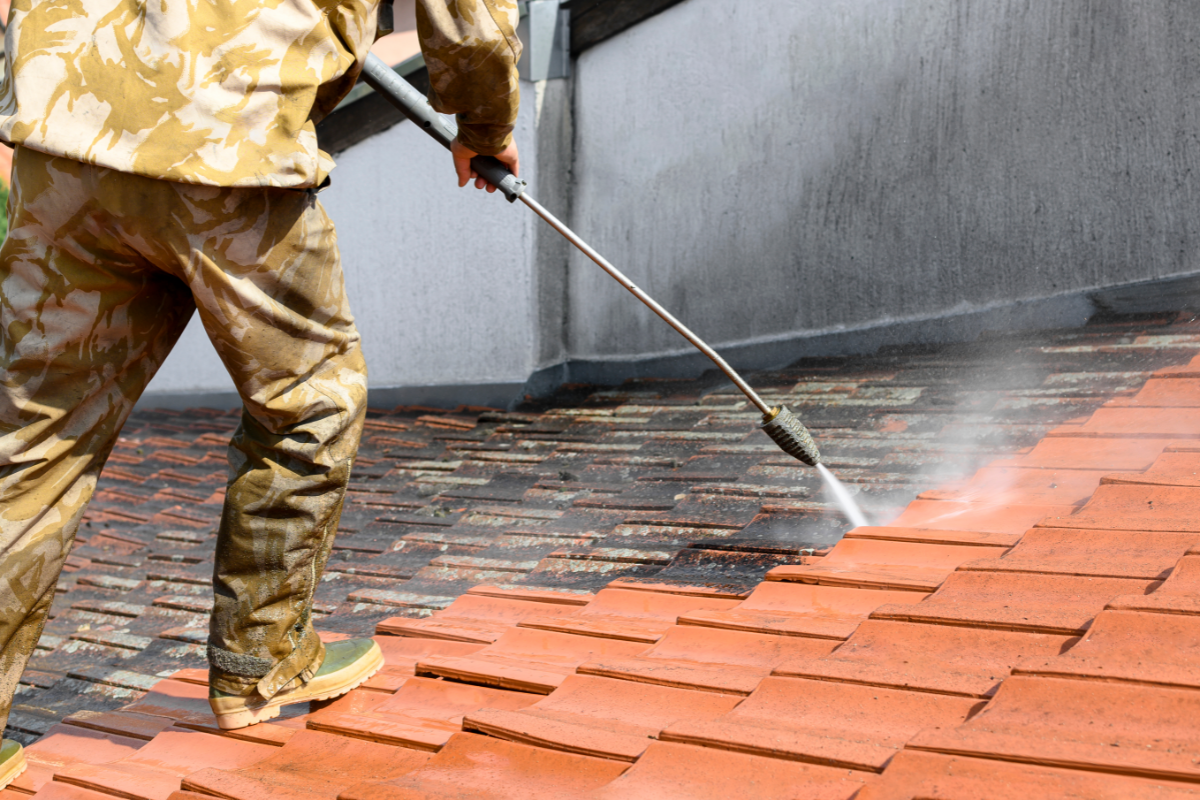 roof cleaning