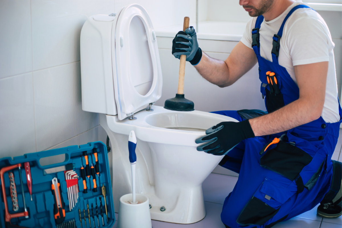 Toilet Clean