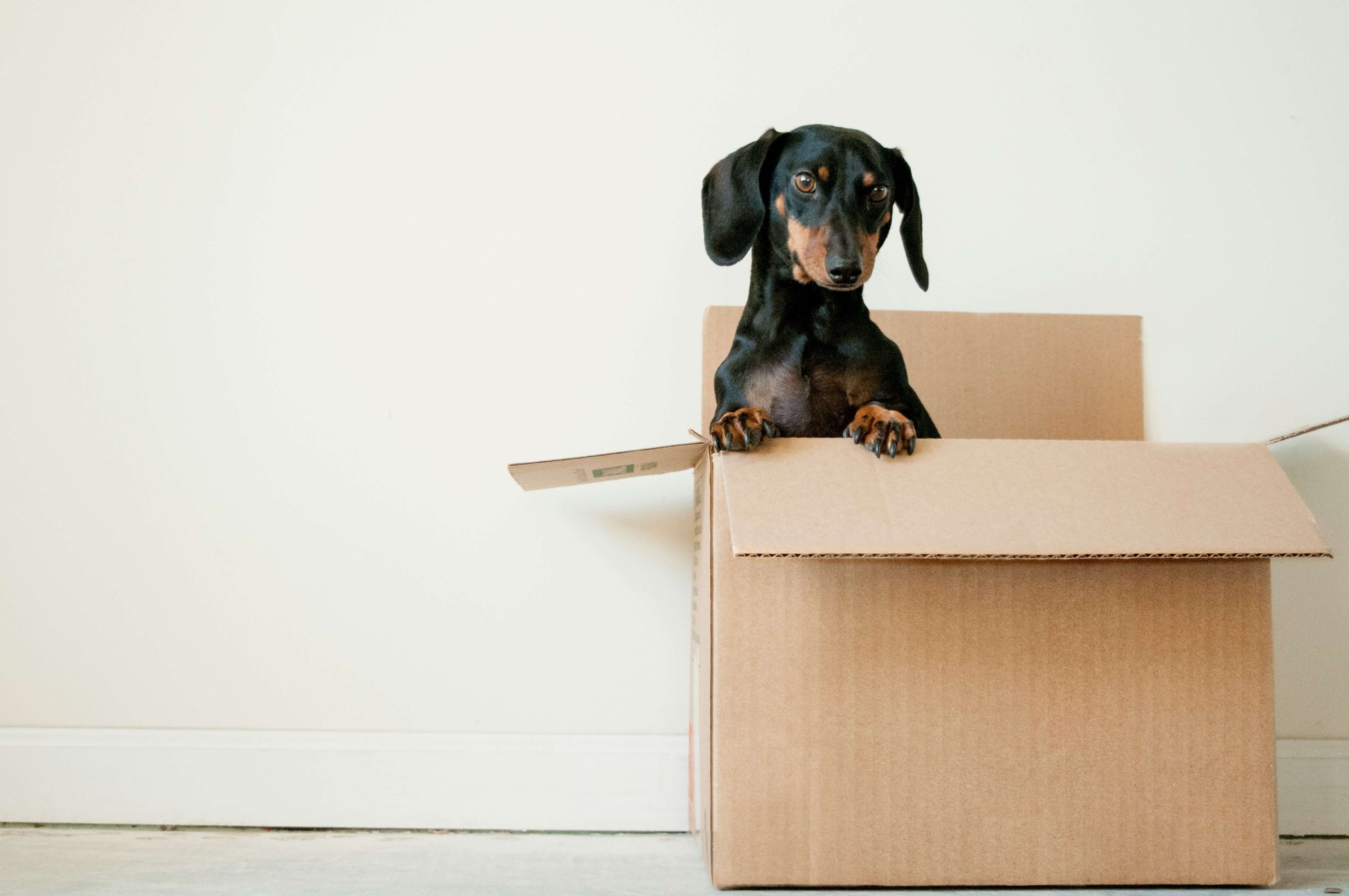 moving in to new home